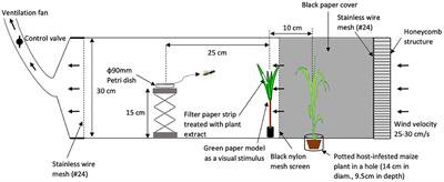 Aversive effects of volatiles from intact plants help to fine tune host-searching behavior of the parasitoid wasp, Cotesia kariyai